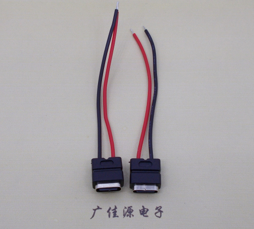 顺德type c2p防水母座焊线式带线注塑成型带接线端子/不带接线端子充电连接器
