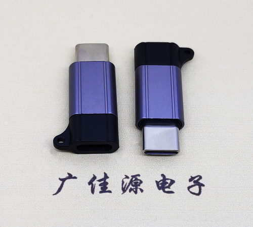 顺德Type-C母转Type-C公 USB3.1 PD100W快冲接口